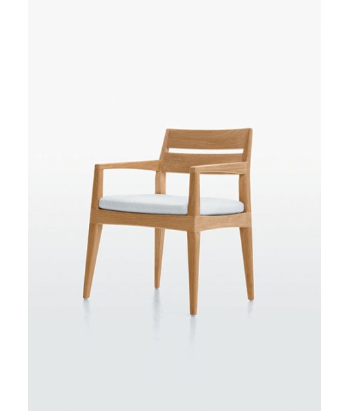 SMOOTHIE Dining Arm Chair With Cushion