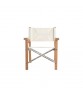 SUNDECK Folding Director's Lounge Chair