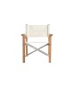 SUNDECK Folding Director's Lounge Chair