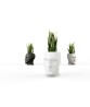 ADAN Planter