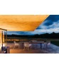 MAIA DINING ARMCHAIR