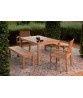 LINEAR Dining Armchair