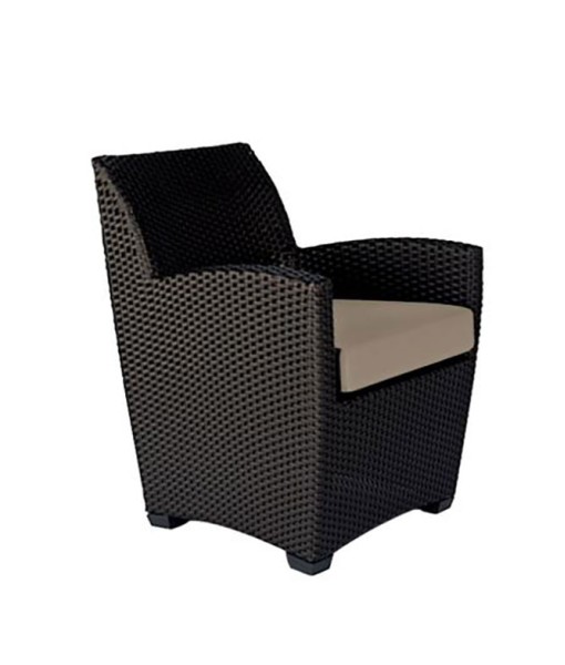 Fusion Arm Chair