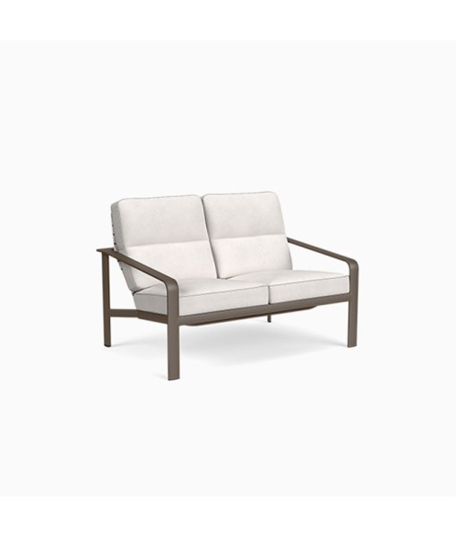 Softscape Cushion Loveseat
