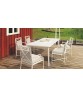 1950 DINING ARMCHAIR