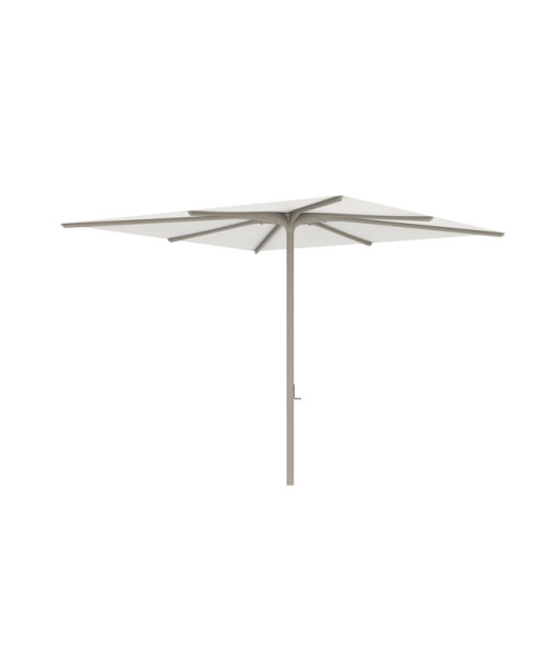 BLOOM UMBRELLA