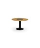 BEGONIA Dining Table