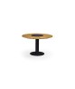 BEGONIA Dining Table
