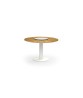 BEGONIA Dining Table
