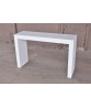 Lynne Tell Console Table