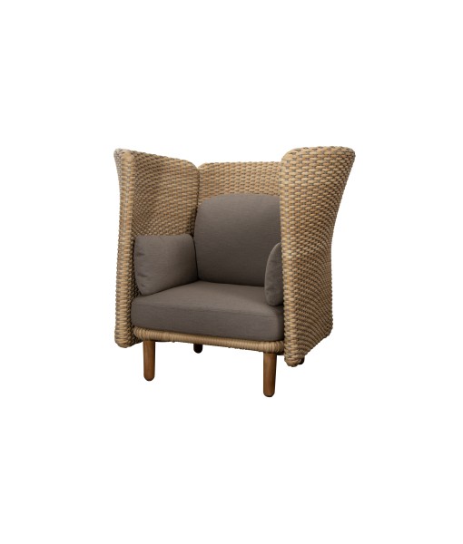 ARCH Lounge Chair w/ High Arm/Backrest