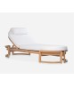 ARC Adjustable Chaise with Cushion