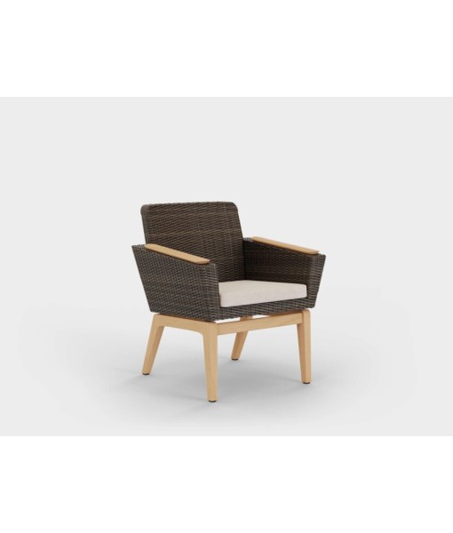 Inception Arm Chair