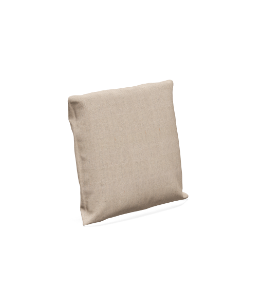 Accessory Square Scatter Cushion 23"W