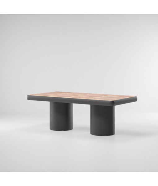 Insula Dining table 210 x 110