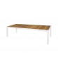 ALLUX dining table