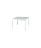 ALLUX dining table
