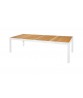 ALLUX dining table