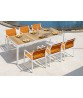 ALLUX dining table