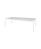ALLUX dining table