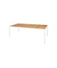 ALLUX dining table