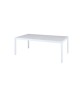 ALLUX dining table