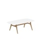ZIDIZ Oval Table with Teak Legs