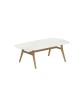ZIDIZ Oval Table with Teak Legs