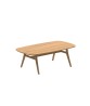 ZIDIZ Oval Table with Teak Legs
