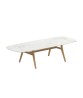 ZIDIZ Oval Table with Teak Legs