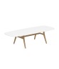 ZIDIZ Oval Table with Teak Legs