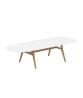 ZIDIZ Oval Table with Teak Legs