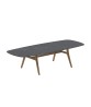 ZIDIZ Oval Table with Teak Legs