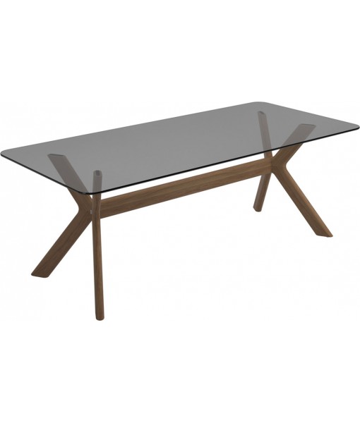X - FRAME Dining Table