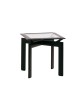 Parkway 21" Square Occasional Table, Glass Top