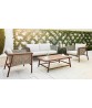 FORTE 50″ Rectangular Coffee Table with Ipe Top
