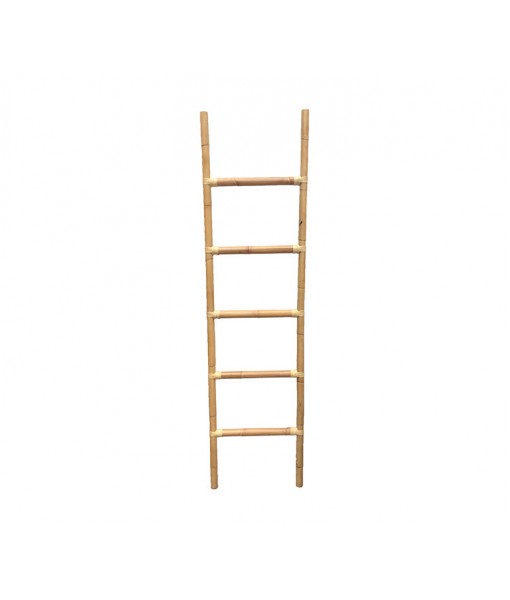 Climb ladder